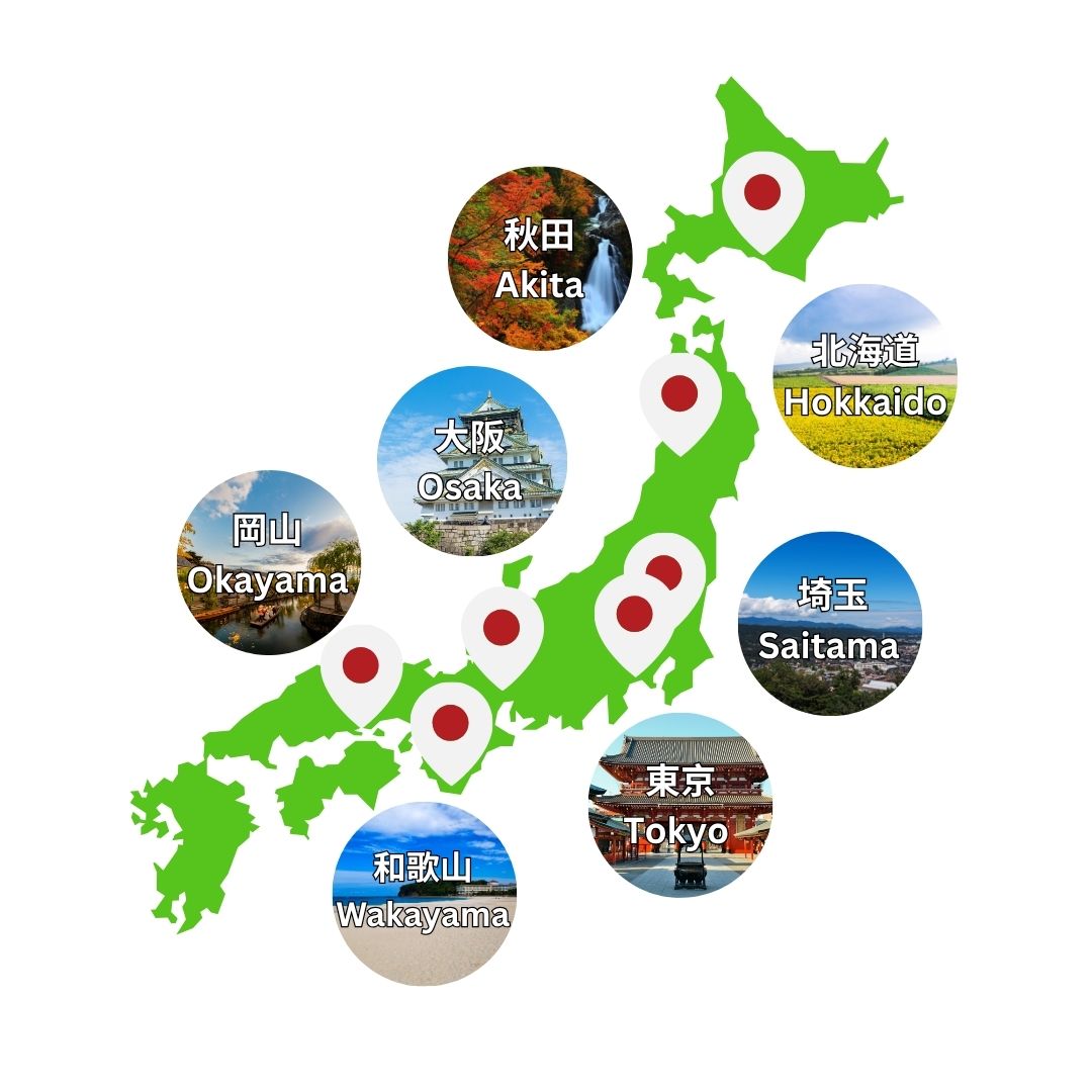 Japaw box treats from all over Japan