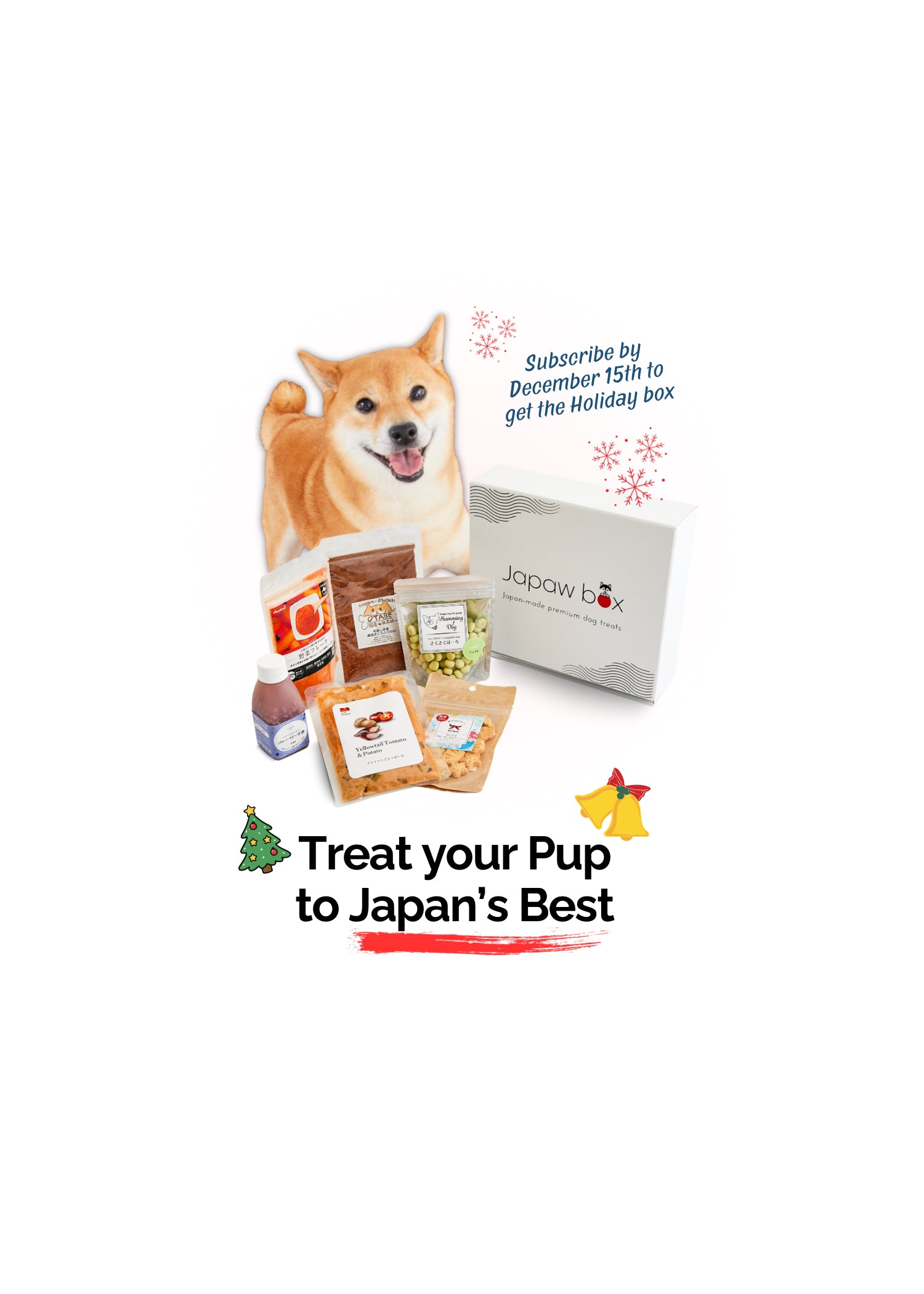 Shiba dog with treats box
