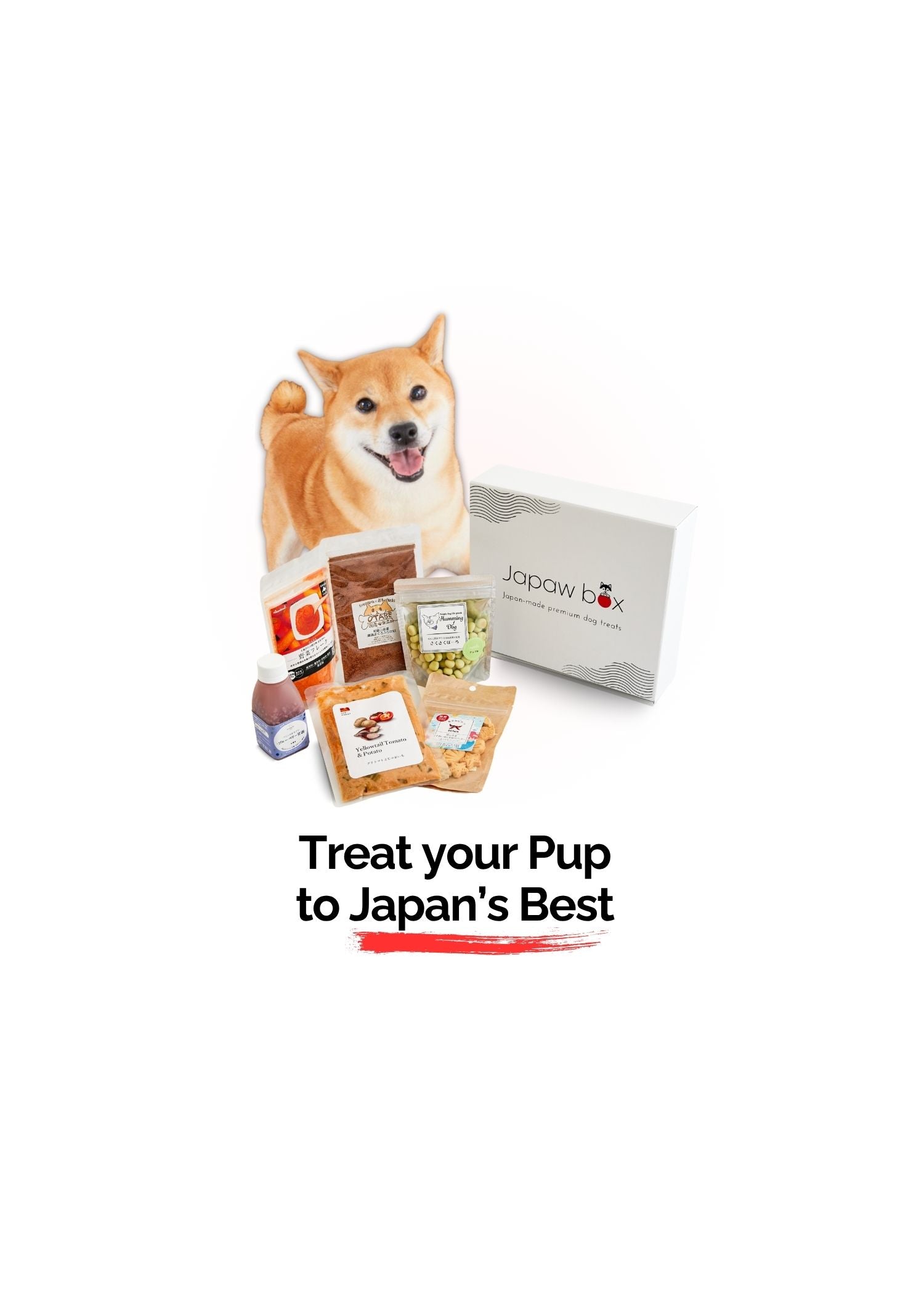 Shiba dog with Japaw box and the treats