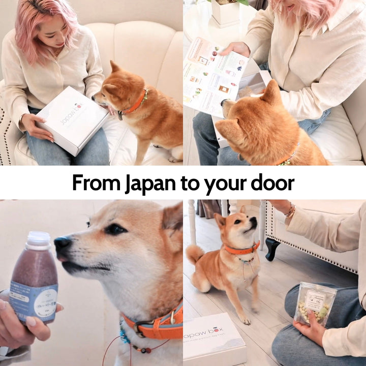 Girl and dog enjoying Japaw box at home